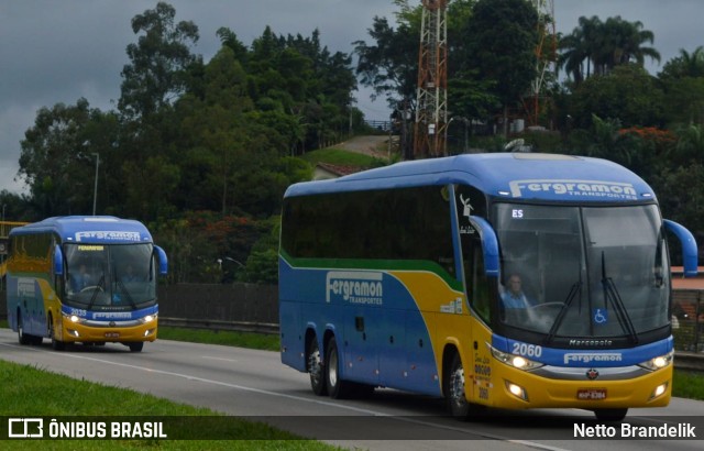 Fergramon Transportes 2060 na cidade de Roseira, São Paulo, Brasil, por Netto Brandelik. Número da foto: #11543844.