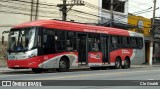 Himalaia Transportes > Ambiental Transportes Urbanos 4 1585 na cidade de São Paulo, São Paulo, Brasil, por Cle Giraldi. Número da foto: #11547382.