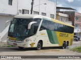 Empresa Gontijo de Transportes 19135 na cidade de Caruaru, Pernambuco, Brasil, por Lenilson da Silva Pessoa. Número da foto: #11549064.