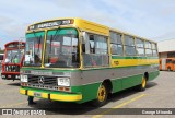 Ônibus Particulares 113 na cidade de Curitiba, Paraná, Brasil, por George Miranda. Número da foto: #11550429.