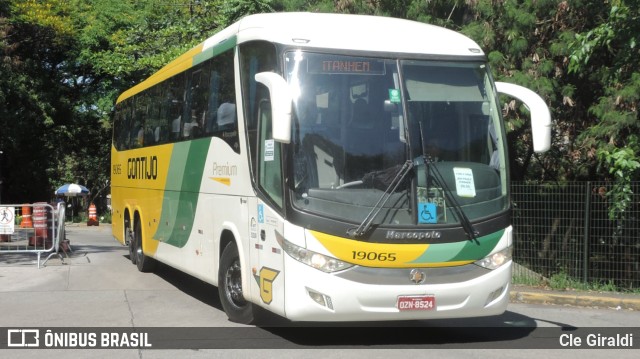 Empresa Gontijo de Transportes 19065 na cidade de São Paulo, São Paulo, Brasil, por Cle Giraldi. Número da foto: #11551694.