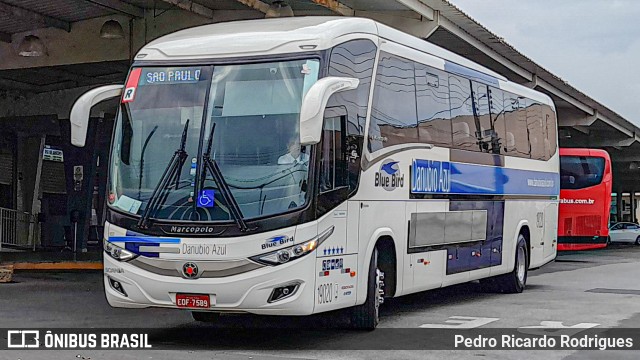 VIDA - Viação Danúbio Azul 19020 na cidade de Pirassununga, São Paulo, Brasil, por Pedro Ricardo Rodrigues. Número da foto: #11551379.