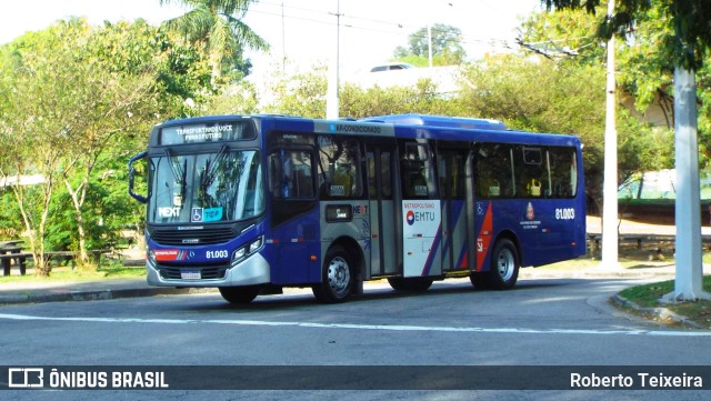 Next Mobilidade - ABC Sistema de Transporte 81.003 na cidade de Santo André, São Paulo, Brasil, por Roberto Teixeira. Número da foto: #11503748.