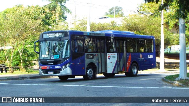 Next Mobilidade - ABC Sistema de Transporte 81.003 na cidade de Santo André, São Paulo, Brasil, por Roberto Teixeira. ID da foto: 11503748.