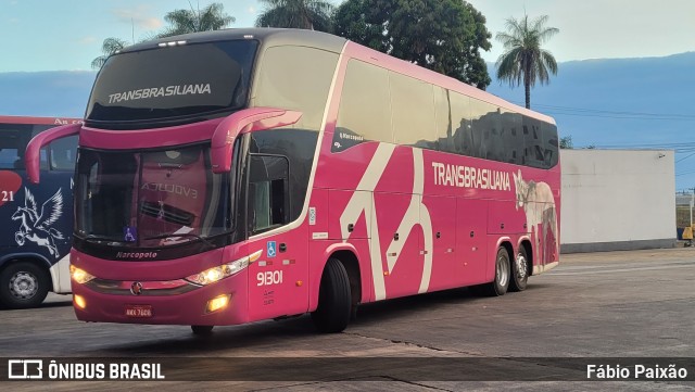 Transbrasiliana Transportes e Turismo 91301 na cidade de Goiânia, Goiás, Brasil, por Fábio Paixão. Número da foto: #11554930.