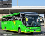 Pássaro Verde 23184 na cidade de Belo Horizonte, Minas Gerais, Brasil, por Rafael Cota. Número da foto: #11554277.
