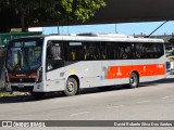 Pêssego Transportes 4 7243 na cidade de São Paulo, São Paulo, Brasil, por David Roberto Silva Dos Santos. Número da foto: #11558356.