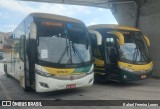 Empresa Gontijo de Transportes 19500 na cidade de Belo Horizonte, Minas Gerais, Brasil, por Rafael Ferreira Lopes. Número da foto: #11566755.