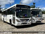 Empresa Barros 780 na cidade de Santo Antônio, Rio Grande do Norte, Brasil, por Marco Silva. Número da foto: #11568381.