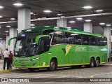 Pássaro Verde 19151 na cidade de Belo Horizonte, Minas Gerais, Brasil, por MAXI MORAIS. Número da foto: #11569380.