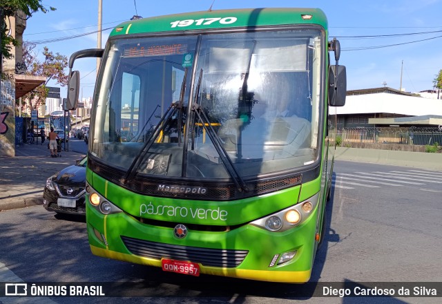 Pássaro Verde 19170 na cidade de Belo Horizonte, Minas Gerais, Brasil, por Diego Cardoso da Silva. Número da foto: #11571935.