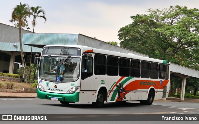 Empresa de Transportes Andorinha 6051 na cidade de Assis, São Paulo, Brasil, por Francisco Ivano. ID da foto: 11573177.