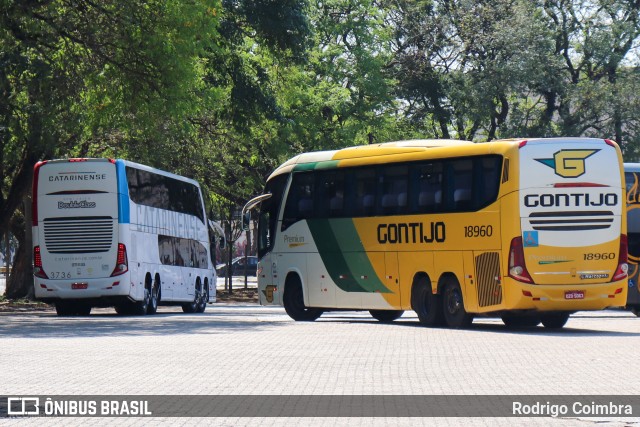 Empresa Gontijo de Transportes 18960 na cidade de São Paulo, São Paulo, Brasil, por Rodrigo Coimbra. ID da foto: 11579067.