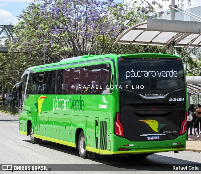 Pássaro Verde 23181 na cidade de Belo Horizonte, Minas Gerais, Brasil, por Rafael Cota. ID da foto: 11507132.