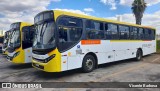 Viação Araguarina 3196 na cidade de Goiânia, Goiás, Brasil, por Vicente Barbosa. Número da foto: #11507695.