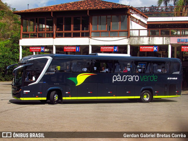 Pássaro Verde 23182 na cidade de Mariana, Minas Gerais, Brasil, por Gerdan Gabriel Bretas Corrêa. ID da foto: 11581906.