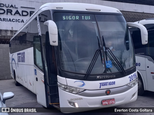 Trans Igor Transportes e Turismo 2019 na cidade de Cariacica, Espírito Santo, Brasil, por Everton Costa Goltara. ID da foto: 11583957.