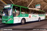 OT Trans - Ótima Salvador Transportes 21257 na cidade de Lauro de Freitas, Bahia, Brasil, por André Pietro  Lima da Silva. Número da foto: #:id.