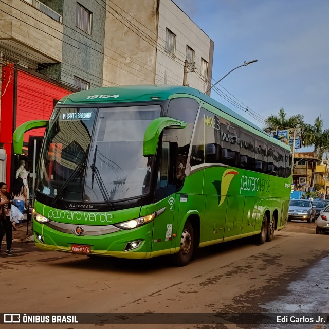 Pássaro Verde 19154 na cidade de Barão de Cocais, Minas Gerais, Brasil, por Edi Carlos Jr.. ID da foto: 11511450.