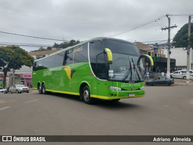 Pássaro Verde 28035 na cidade de Santa Bárbara, Minas Gerais, Brasil, por Adriano  Almeida. ID da foto: 11512931.