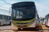 COOTEGO - Cooperativa de Transportes do Estado de Goiás 40074 na cidade de Senador Canedo, Goiás, Brasil, por Daniel Domingues. Número da foto: #11512278.