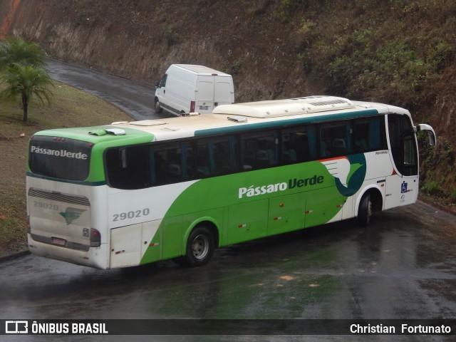 Pássaro Verde 29020 na cidade de Coimbra, Minas Gerais, Brasil, por Christian  Fortunato. ID da foto: 11516534.