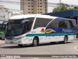 Piccolotur Transportes Turísticos 3840 na cidade de Campo Limpo Paulista, São Paulo, Brasil, por Henrique Alves de Paula Silva. Número da foto: #11519557.