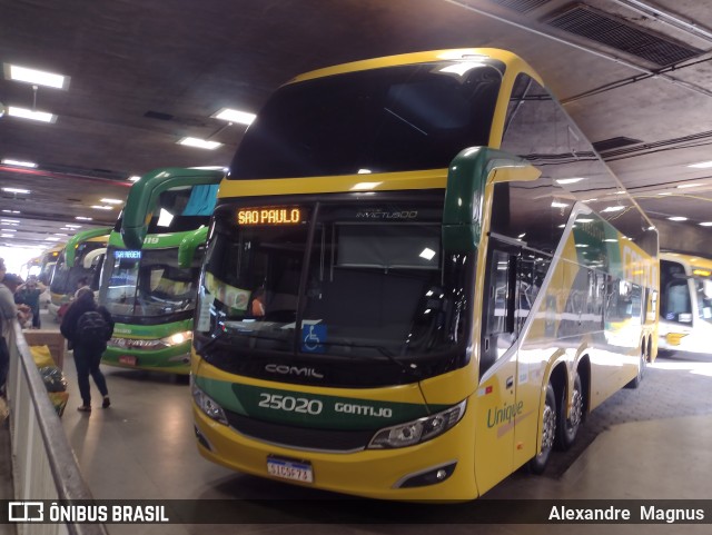 Empresa Gontijo de Transportes 25020 na cidade de Belo Horizonte, Minas Gerais, Brasil, por Alexandre  Magnus. ID da foto: 11524968.