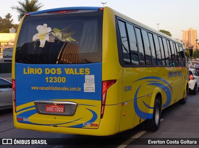 Viação Lírio dos Vales 12300 na cidade de Cariacica, Espírito Santo, Brasil, por Everton Costa Goltara. ID da foto: 11521886.