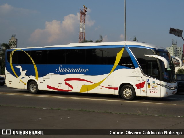 Sussantur 2047 na cidade de São Paulo, São Paulo, Brasil, por Gabriel Oliveira Caldas da Nobrega. Número da foto: #11524684.