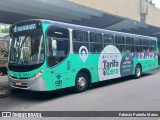 VIPE - Viação Padre Eustáquio 3331 na cidade de São Caetano do Sul, São Paulo, Brasil, por Fabrício Portella Matos. Número da foto: #11588690.