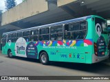 VIPE - Viação Padre Eustáquio 3361 na cidade de São Caetano do Sul, São Paulo, Brasil, por Fabrício Portella Matos. Número da foto: #11588817.