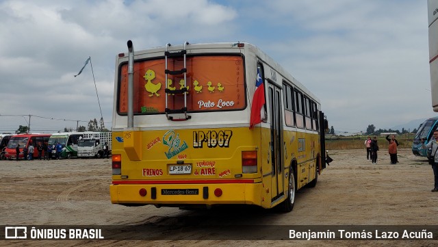 Ônibus Particulares El Nitido na cidade de Lampa, Chacabuco, Metropolitana de Santiago, Chile, por Benjamín Tomás Lazo Acuña. ID da foto: 11619977.