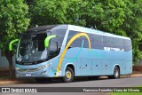 Estrela Turismo 20016 na cidade de Holambra, São Paulo, Brasil, por Francisco Dornelles Viana de Oliveira. Número da foto: #11618288.
