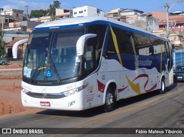 Sussantur 2047 na cidade de Três Corações, Minas Gerais, Brasil, por Fábio Mateus Tibúrcio. Número da foto: #11624420.