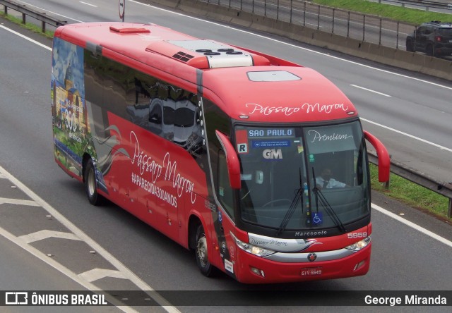 Empresa de Ônibus Pássaro Marron 5959 na cidade de São José dos Campos, São Paulo, Brasil, por George Miranda. Número da foto: #11627427.