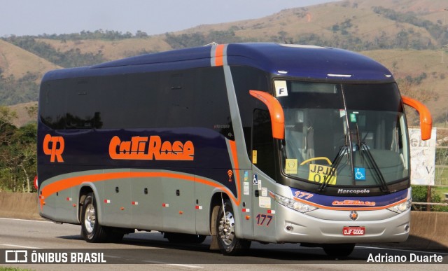Cati Rose Transporte de Passageiros 177 na cidade de Roseira, São Paulo, Brasil, por Adriano Duarte. Número da foto: #11626940.