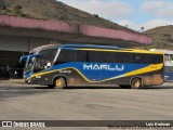 Marlu Turismo 1014 na cidade de Juiz de Fora, Minas Gerais, Brasil, por Luiz Krolman. Número da foto: #11627293.