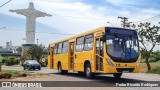 Viação Pirassununga 115 na cidade de Pirassununga, São Paulo, Brasil, por Pedro Ricardo Rodrigues. Número da foto: #11631618.