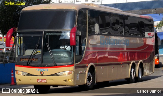 Auto Viação Goianésia 164003-5 na cidade de Goiânia, Goiás, Brasil, por Carlos Júnior. ID da foto: 11643137.