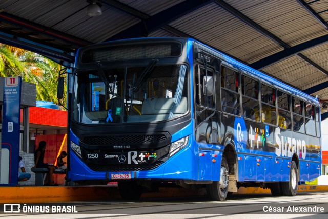Radial Suzano 1250 na cidade de Suzano, São Paulo, Brasil, por César Alexandre. Número da foto: #11644657.