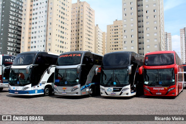 Expresso Itamarati 71101 na cidade de São Paulo, São Paulo, Brasil, por Ricardo Vieira. ID da foto: 11646613.