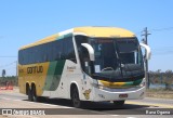 Empresa Gontijo de Transportes 18335 na cidade de Vitória da Conquista, Bahia, Brasil, por Rava Ogawa. Número da foto: #11645726.