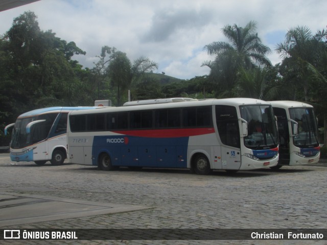 Viação Riodoce 71213 na cidade de Sapucaia, Rio de Janeiro, Brasil, por Christian  Fortunato. ID da foto: 11649565.