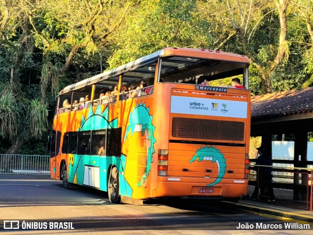 Parque Nacional do Iguaçu JACARé na cidade de Foz do Iguaçu, Paraná, Brasil, por João Marcos William. Número da foto: #11648955.