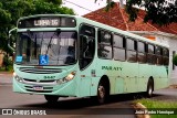 Viação Paraty 8447 na cidade de Jaú, São Paulo, Brasil, por João Pedro Henrique. Número da foto: #11650093.
