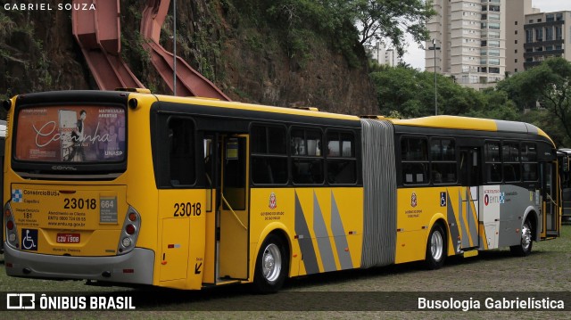 Transportes Capellini 23018 na cidade de Campinas, São Paulo, Brasil, por Busologia Gabrielística. ID da foto: 11652540.