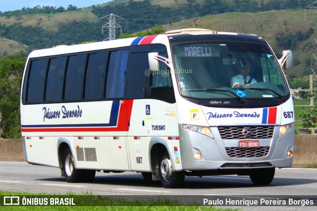 Pássaro Dourado 687 na cidade de Roseira, São Paulo, Brasil, por Paulo Henrique Pereira Borges. Número da foto: #11653613.