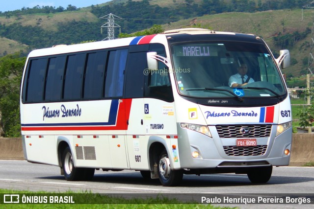 Pássaro Dourado 687 na cidade de Roseira, São Paulo, Brasil, por Paulo Henrique Pereira Borges. ID da foto: 11653613.