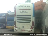 Auto Viação Catarinense 3510 na cidade de Registro, São Paulo, Brasil, por Mario dos Santos Nogueira Junior. Número da foto: #11654641.